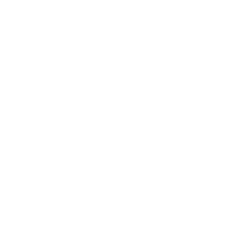 Donington Park GP